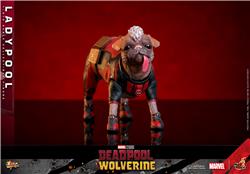 Hot Toys Movie Masterpiece 1/6 Sixth Scale Deadpool & Wolverine - Ladypool Collectible Action Figure
