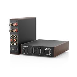 FIIO LEVEL 1 High-Res Audio Power Amplifier, Black