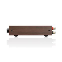 FIIO LEVEL 1 High-Res Audio Power Amplifier, Black