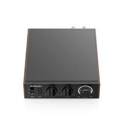 FIIO LEVEL 1 High-Res Audio Power Amplifier, Black