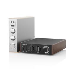 FIIO LEVEL 1 High-Res Audio Power Amplifier, Silver