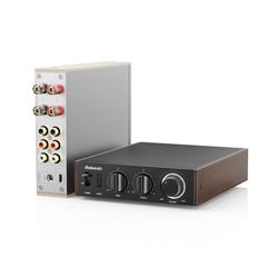 FIIO LEVEL 1 High-Res Audio Power Amplifier, Black