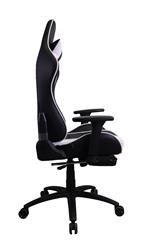 iCAN Ergonomic Gaming Chair