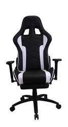iCAN Ergonomic Gaming Chair