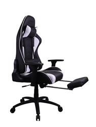 iCAN Ergonomic Gaming Chair