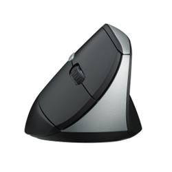 Rapoo EV250 Ergonomic Silent Wireless Mouse(Open Box)