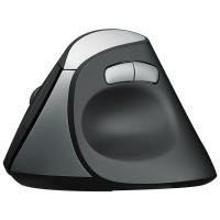 Rapoo EV250 Ergonomic Silent Wireless Mouse(Open Box)