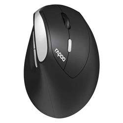 Rapoo EV250 Ergonomic Silent Wireless Mouse(Open Box)