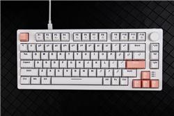 DAREU EK75-W Wired Rainbow Backlight Mechanical Keyboard