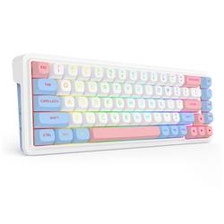 Redragon K709 Tri Mode 65% RGB Mechanical Gaming Keyboard