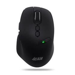 iCAN Wireless 2.4G/Bluetooth Ergonomic Mouse,