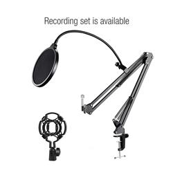 Support de microphone de bureau à pince iCAN
