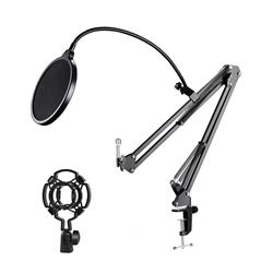 Support de microphone de bureau à pince iCAN