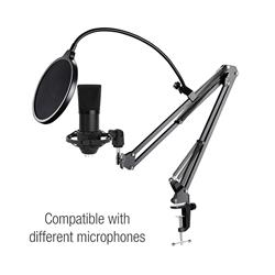 Support de microphone de bureau à pince iCAN