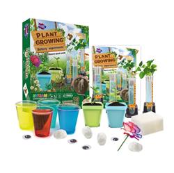 BIG BANG SCIENCE Plant Growing Botany Experiment | STEM (STEAM) Experi