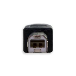 iCAN Câble USB 2.0 mâle Type-A vers mâle Type-B, 10 pieds