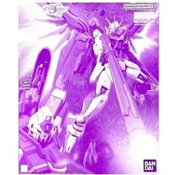 P-BANDAI MG 1/100 DESTINY IMPULSE GUNDAM R (REGENES)