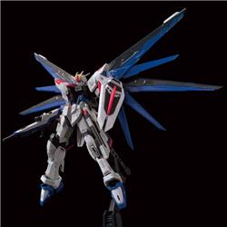 P-BANDAI RG 1/144 THE GUNDAM BASE ZGMF-X10A FREEDOM GUNDAM Ver.GCP