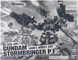 P-BANDAI MG 1/100 RX-78TB-4PF GUNDAM STORMBRINGER P.F.