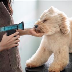 iCAN AD51 Compressed Air Duster, Portable Air Blower.