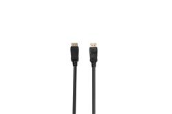 iCAN Premium DisplayPort 1.4 vers DisplayPort 1.4