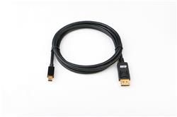 iCAN DisplayPort to Mini DisplayPort Cable