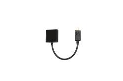 iCAN DisplayPort to DVI Adapter, Male to Female, Black