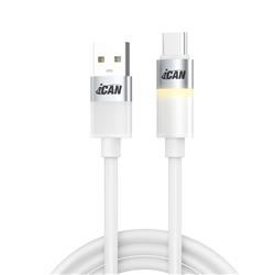 Câble iCAN LED Chaud USB 2.0 Type-A Mâle vers Type-C Mâle, 3A, 3 pieds