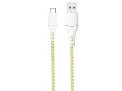 Câble iCAN USB 2.0 Type-A Mâle vers Type-C Mâle, 100W, 3,3 pieds