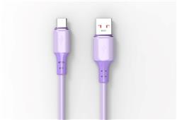 Câble iCAN USB 2.0 Type-A Mâle vers Type-C Mâle, 100W, 3,3 pieds