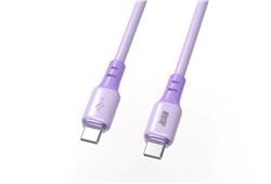 Câble iCAN USB 2.0 Type-C Mâle vers Type-C Mâle, 100W, 6,6 pieds