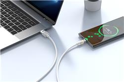 Câble iCAN LED Chaud USB 2.0 Type-A Mâle vers Type-C Mâle, 3A, 3 pieds