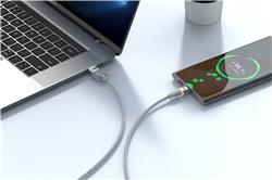 Câble iCAN LED Chaud USB 2.0 Type-A Mâle vers Type-C Mâle, 3A, 3 pieds