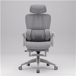 iCAN E21-GY Reclining Ergonomic Office Chair