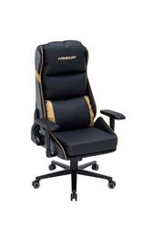 ARMOURY 9891 Black & Gold Elite Edition Gaming Chair