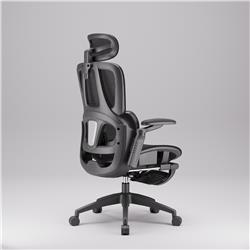iCAN E21-BK Special Mesh Ergonomic Office Chair