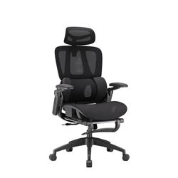 Chaise de bureau ergonomique iCAN E21-BK en maille spéciale