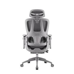 Chaise de bureau ergonomique inclinable iCAN E21-GY