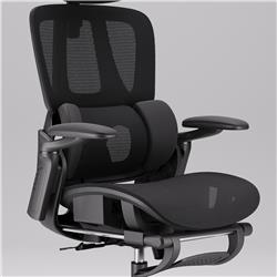 iCAN E21-BK Special Mesh Ergonomic Office Chair