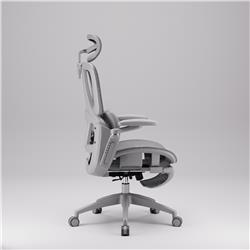 iCAN E21-GY Reclining Ergonomic Office Chair