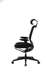 GTCHAIR Neoseat Office Chair