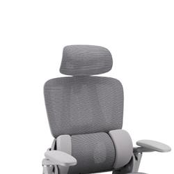 Chaise de bureau ergonomique inclinable iCAN E21-GY