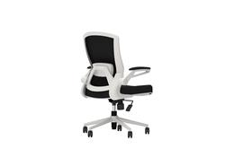 iCAN FA-WH Mesh Office Chair(Open Box)