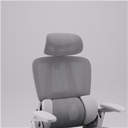 iCAN E21-GY Reclining Ergonomic Office Chair