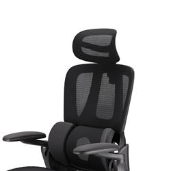 Chaise de bureau ergonomique iCAN E21-BK en maille spéciale