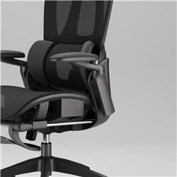 iCAN E21-BK Special Mesh Ergonomic Office Chair