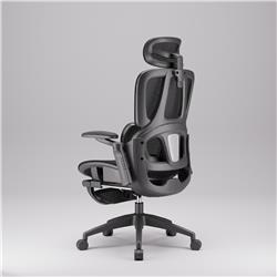 iCAN E21-BK Special Mesh Ergonomic Office Chair
