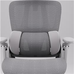 iCAN E21-GY Reclining Ergonomic Office Chair