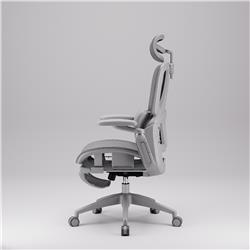 iCAN E21-GY Reclining Ergonomic Office Chair