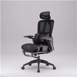 iCAN E21-BK Special Mesh Ergonomic Office Chair